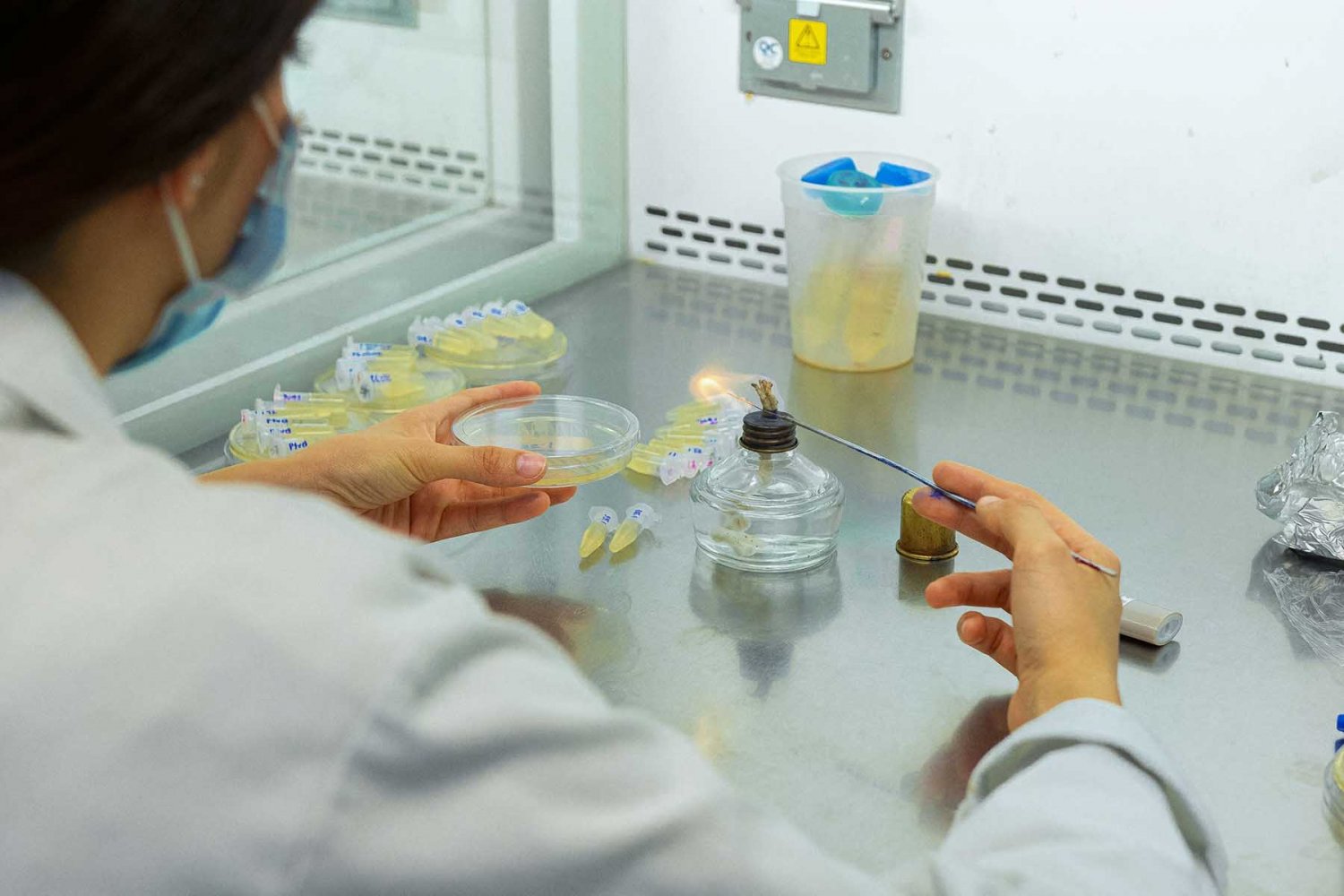 uag y uabc trabajan para fomentar la ciencia y tecnologia