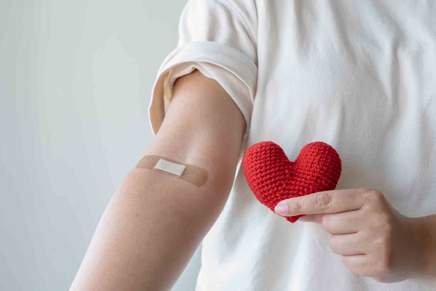 maria guadalupe zavala cerna