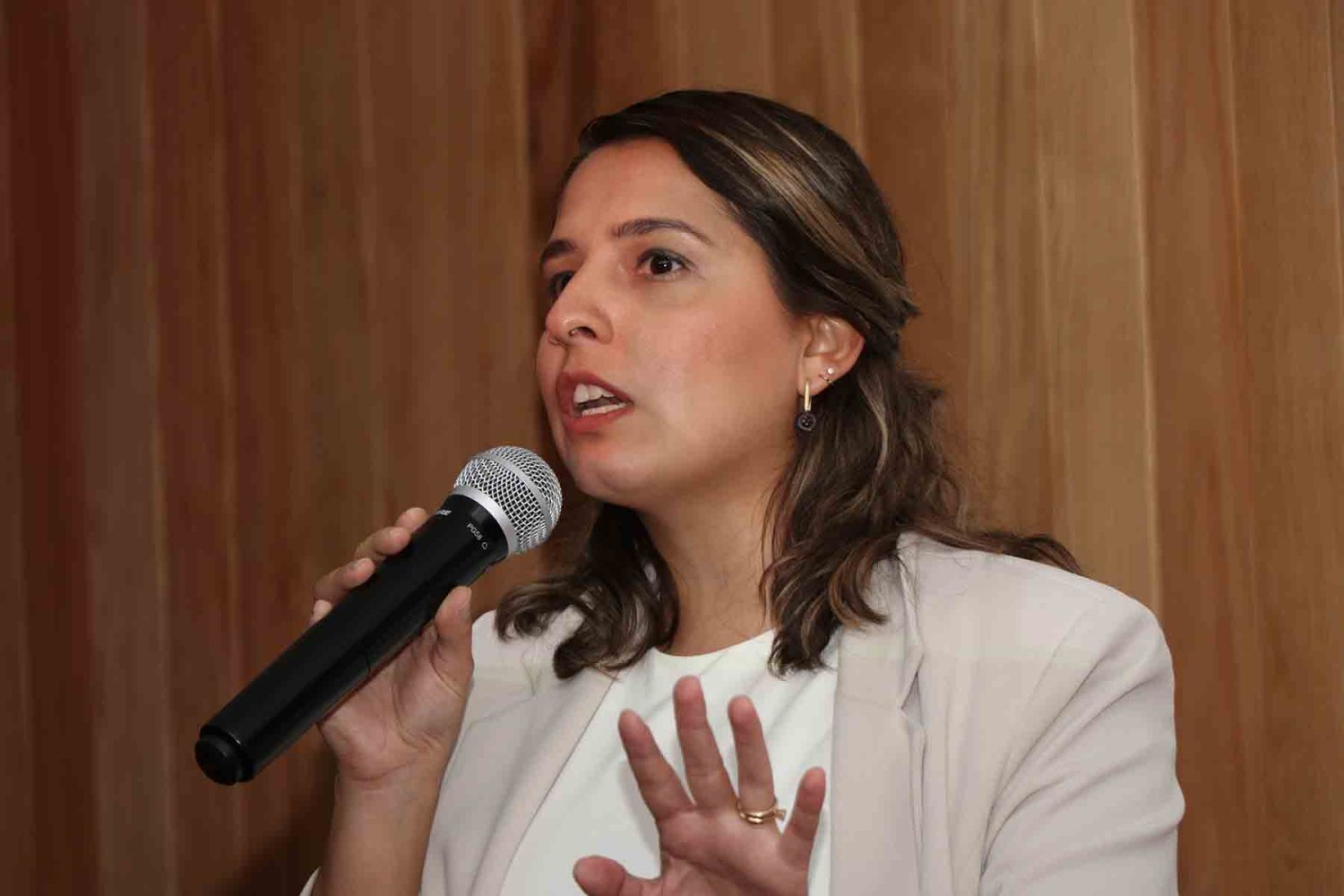 Lic. Dulce María Pardavé, experta en temas de emprendimiento