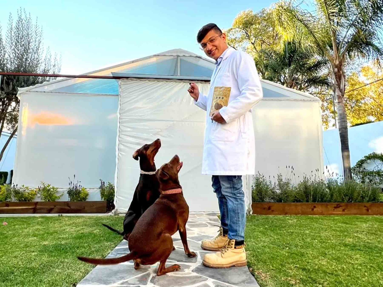 los egresados de la uag desarrollaron eat the dose una tecnologia de formulacion oral orientada al desarrollo de medicamentos