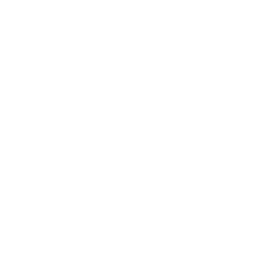 Prácticas Profesionales en Empresas Globales