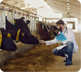 Escuela de Medicina y Ciencias de la Salud