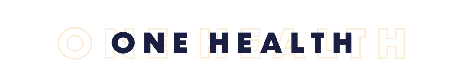 Escuela de Medicina y Ciencias de la Salud