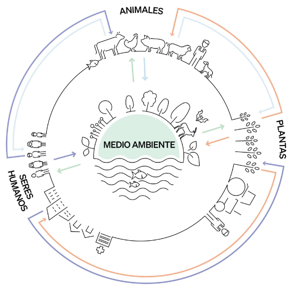 Escuela de Medicina y Ciencias de la Salud