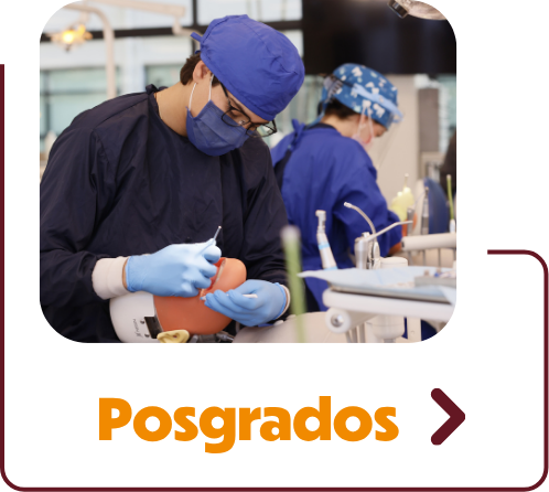 Escuela de Medicina y Ciencias de la Salud