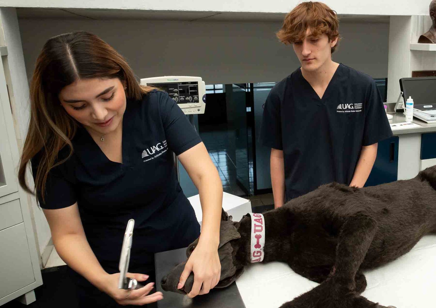 la uag forma veterinarios con una vision one health