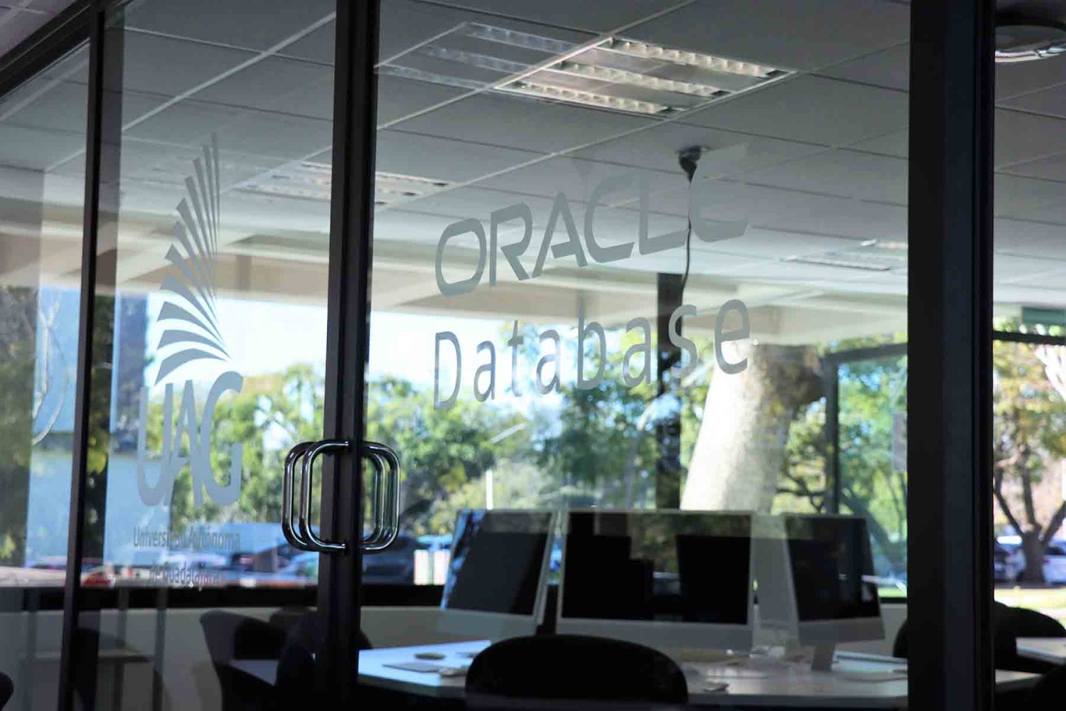 Las certificaciones fortalecen la competitividad profesional en el sector tecnológico.