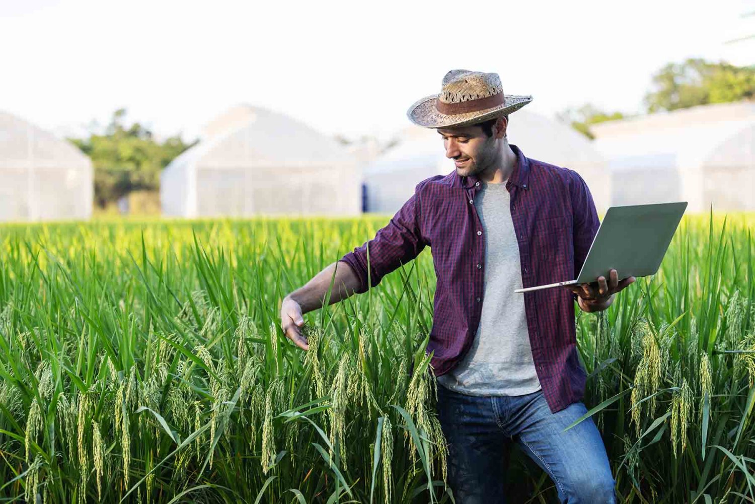 la inteligencia artificial ayuda a identificar patrones en los procesos productivos