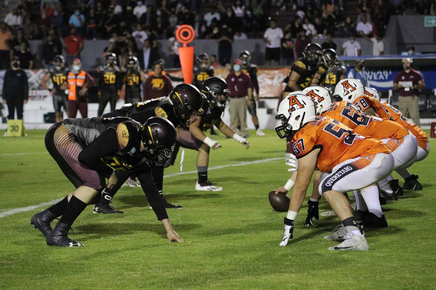 Top 97+ imagen leones anahuac queretaro Abzlocal.mx