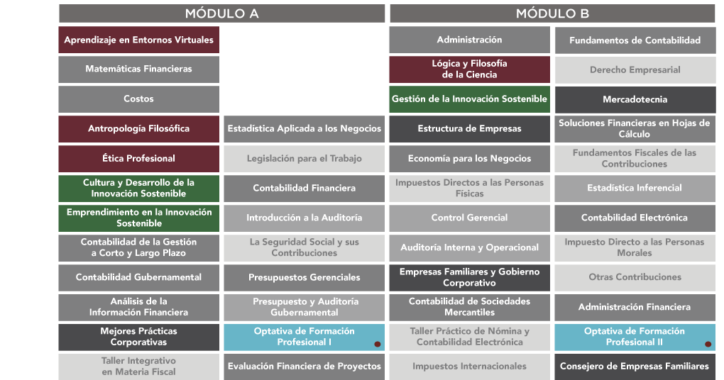Contador Público UAG Online