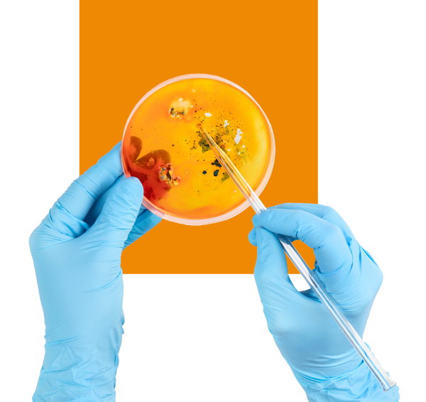 Ingeniería en <br><tinto>Biotecnología</tinto>