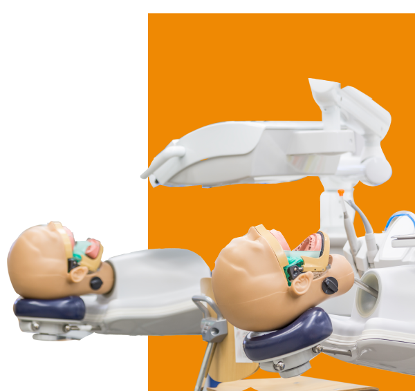 CIRUJANO <br><tinto>DENTISTA<tinto/>