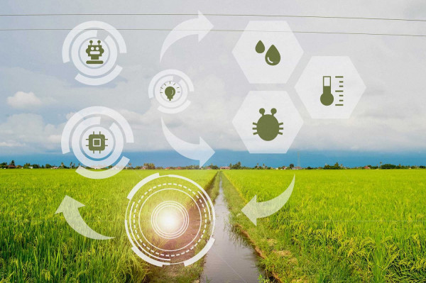 Tendencias revolucionarias en la cadena de valor agroindustrial