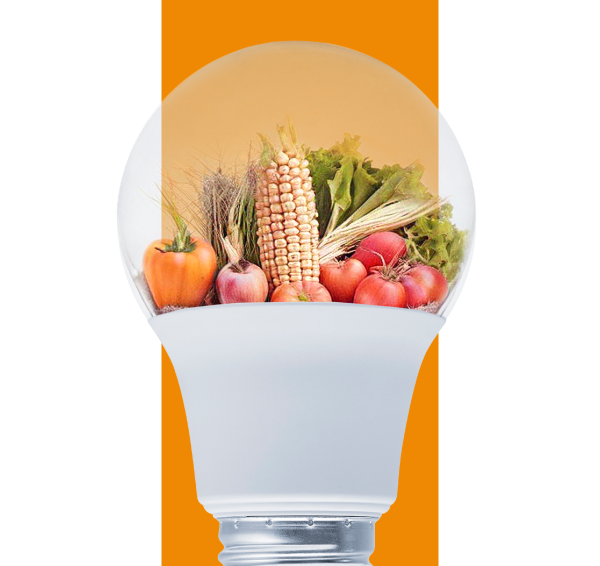 Ingeniería <br><tinto>Empresarial </tinto>Agropecuario