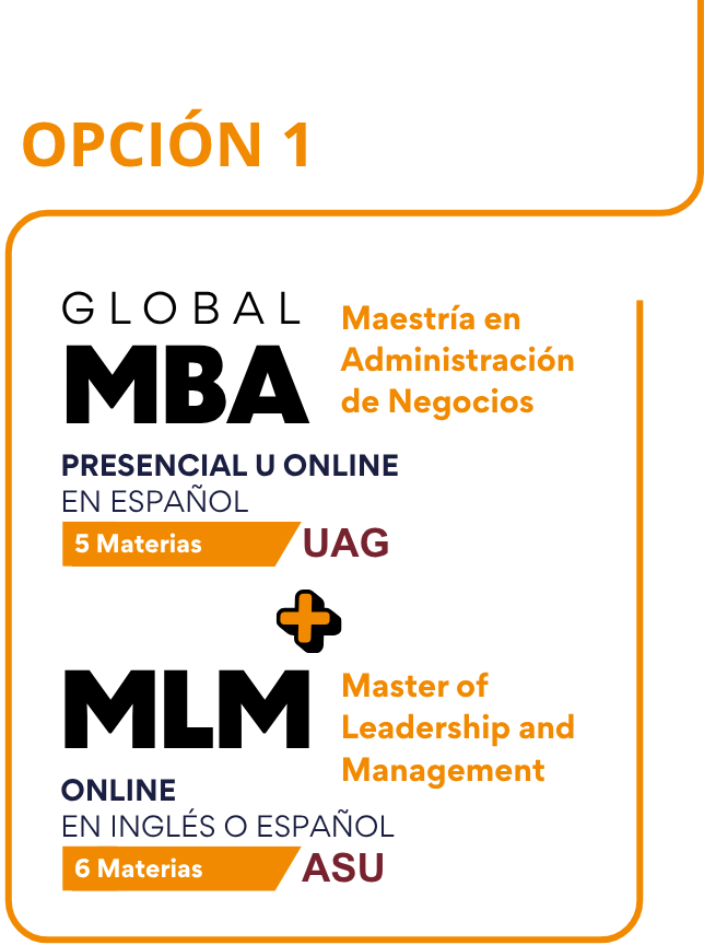 Opción 1