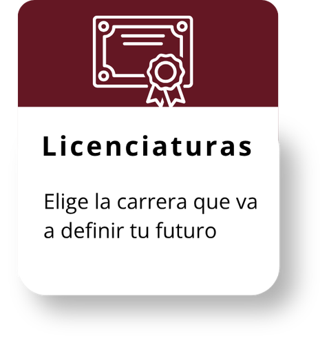 licenciaturas