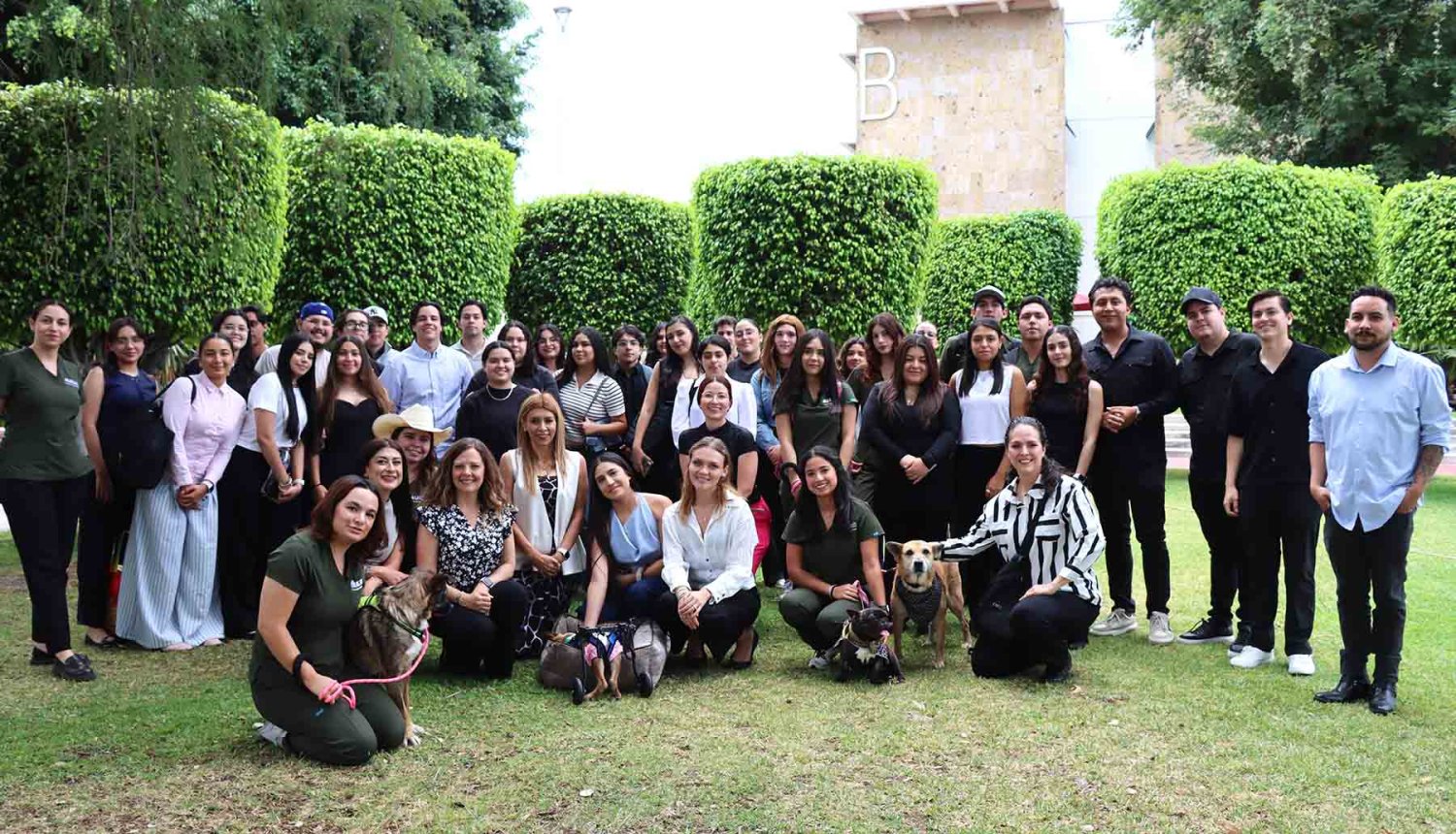 huellitas que inspiran genero conciencia sobre la realidad que enfrentan miles de perros en situacion de abandono