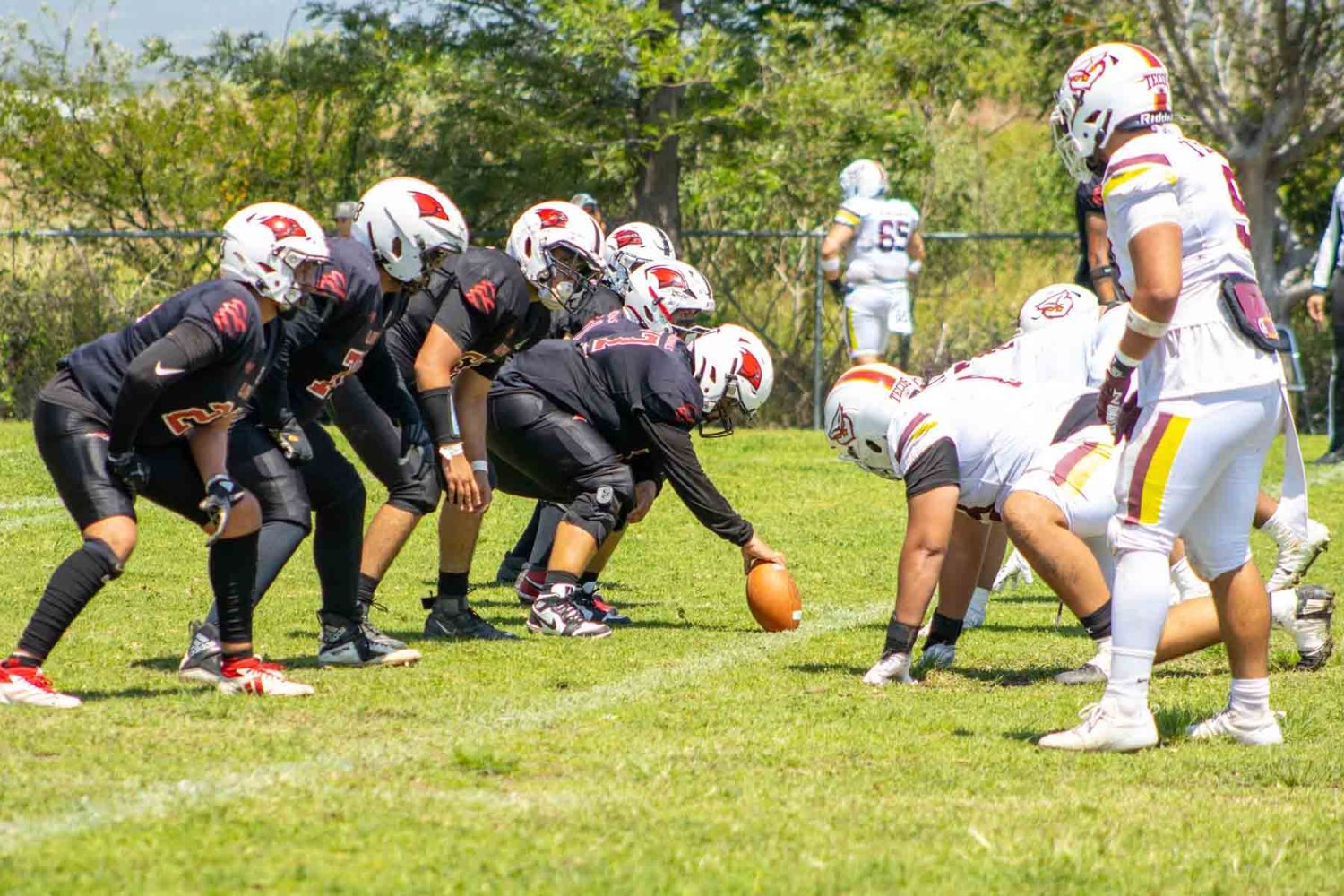 los tecos ganaron en la primera jornada de visita contra los cardinals uw