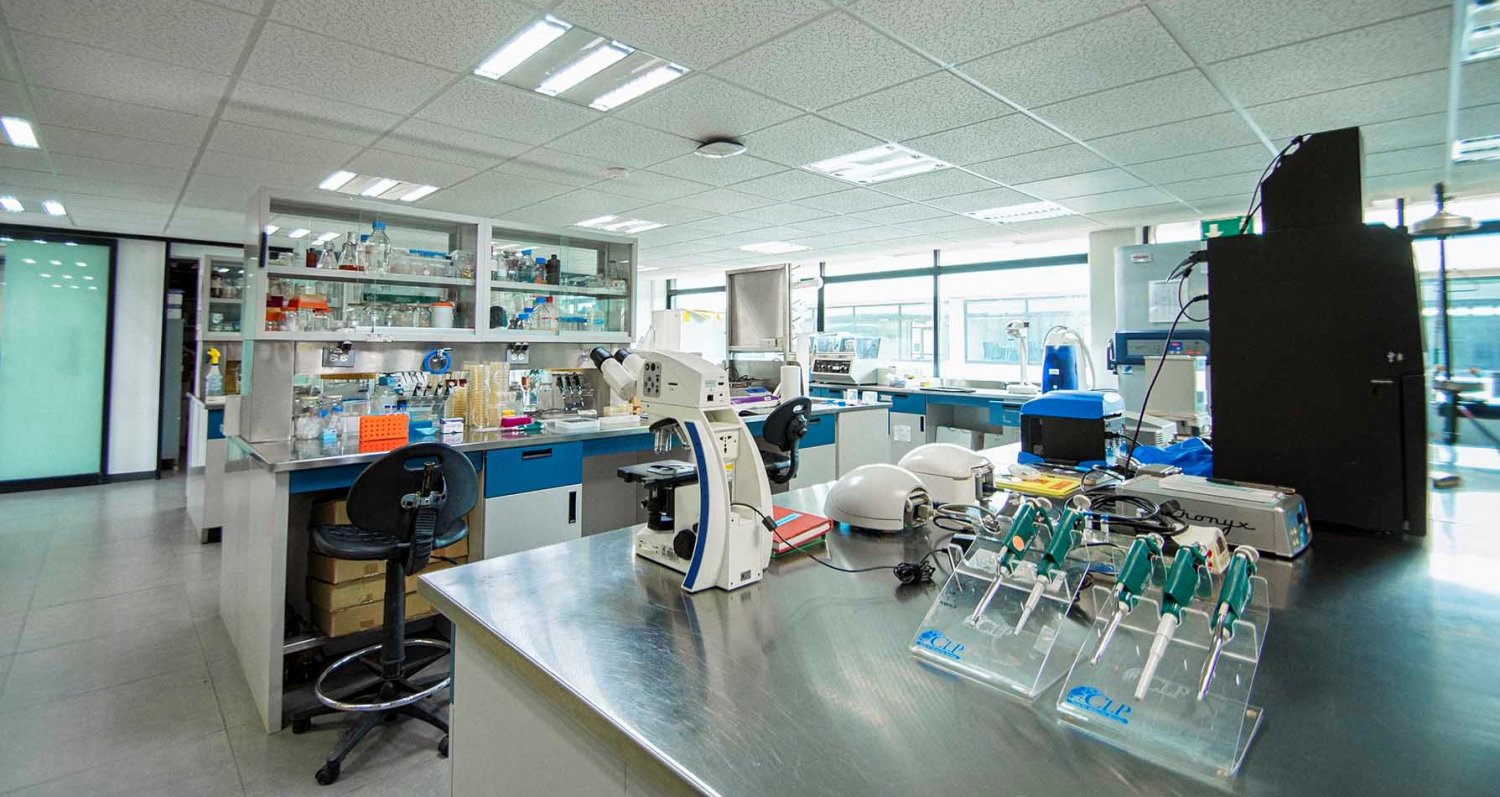 Casos de éxito invitan a participar en el premio de investigación fimpes 2023