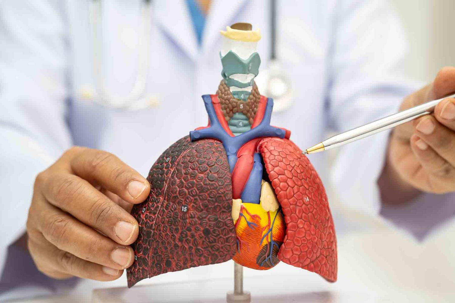 how to refill foger pod Vaporizadores tienen relación directa con daño pulmonar: experto