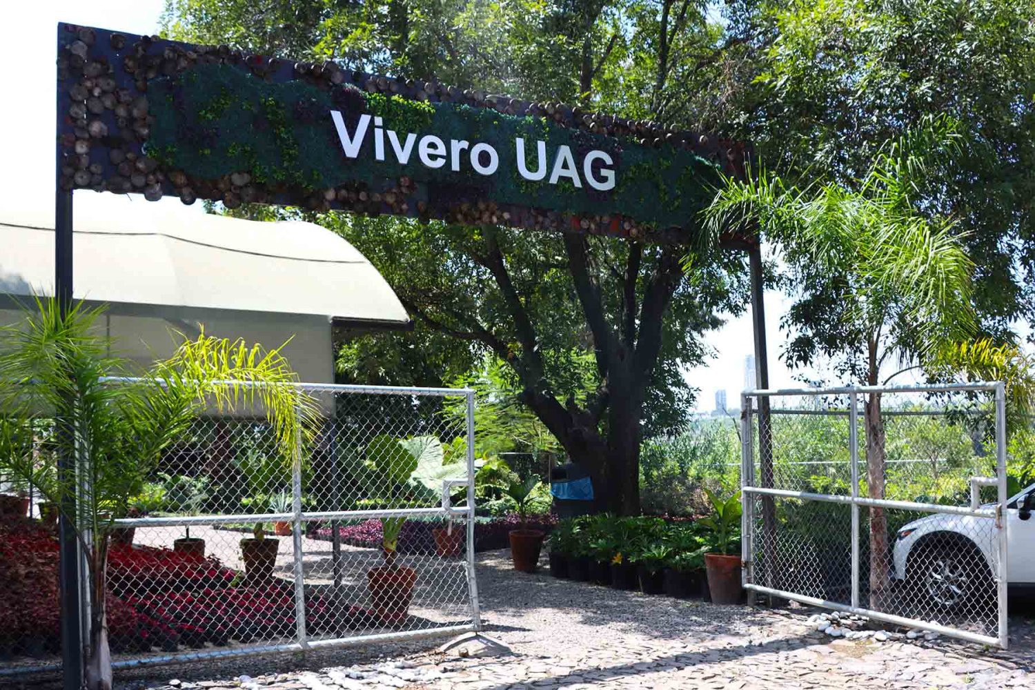 El Vivero UAG dota de plantas y árboles a los diferentes campus de la UAG