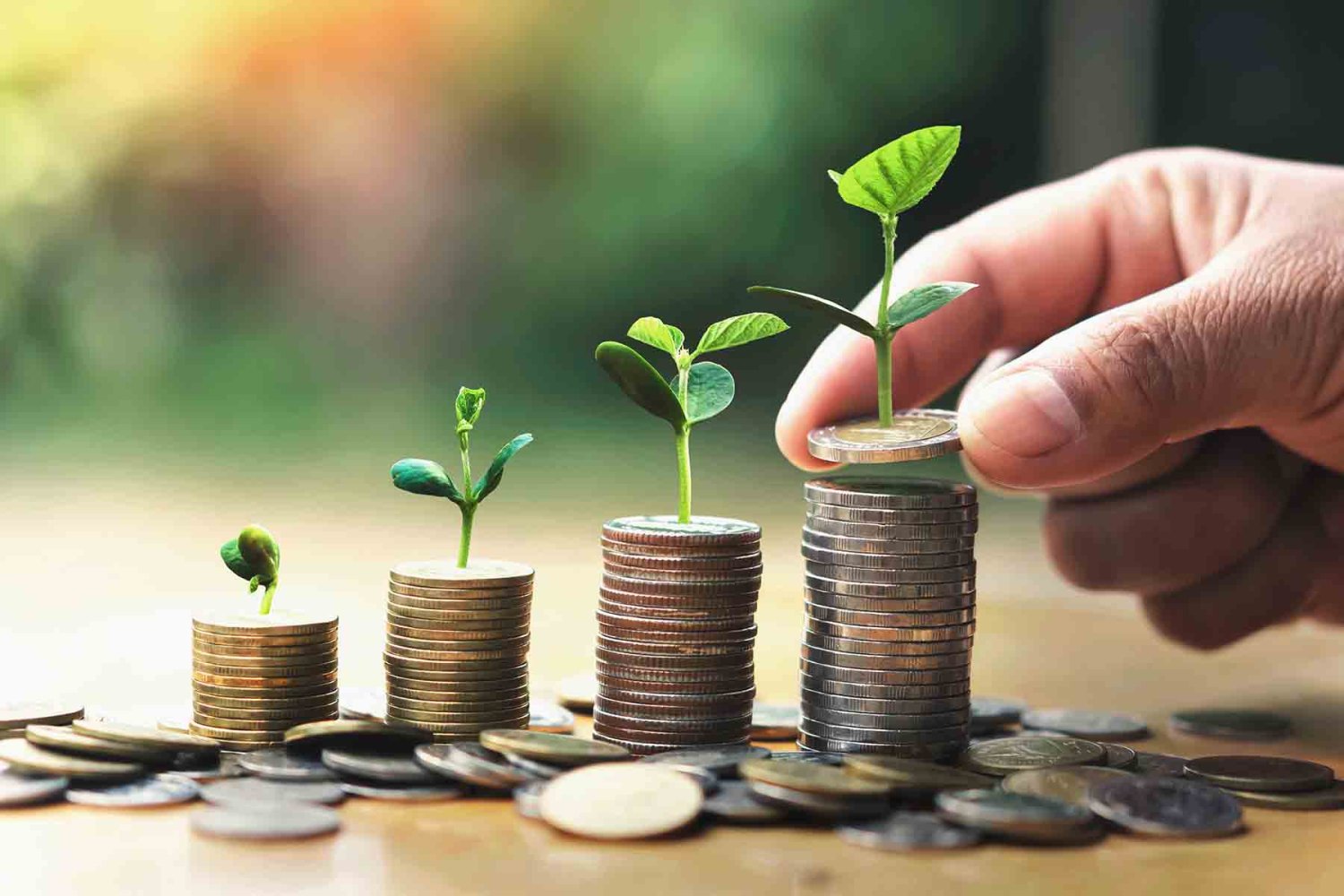 que hace un economista