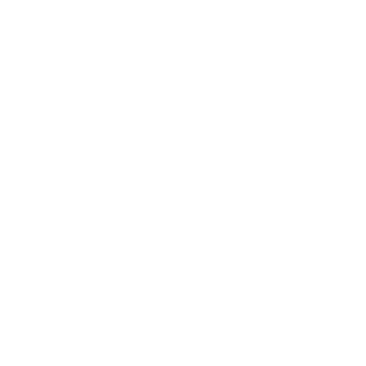 Participación en </br> Organismos Especializados