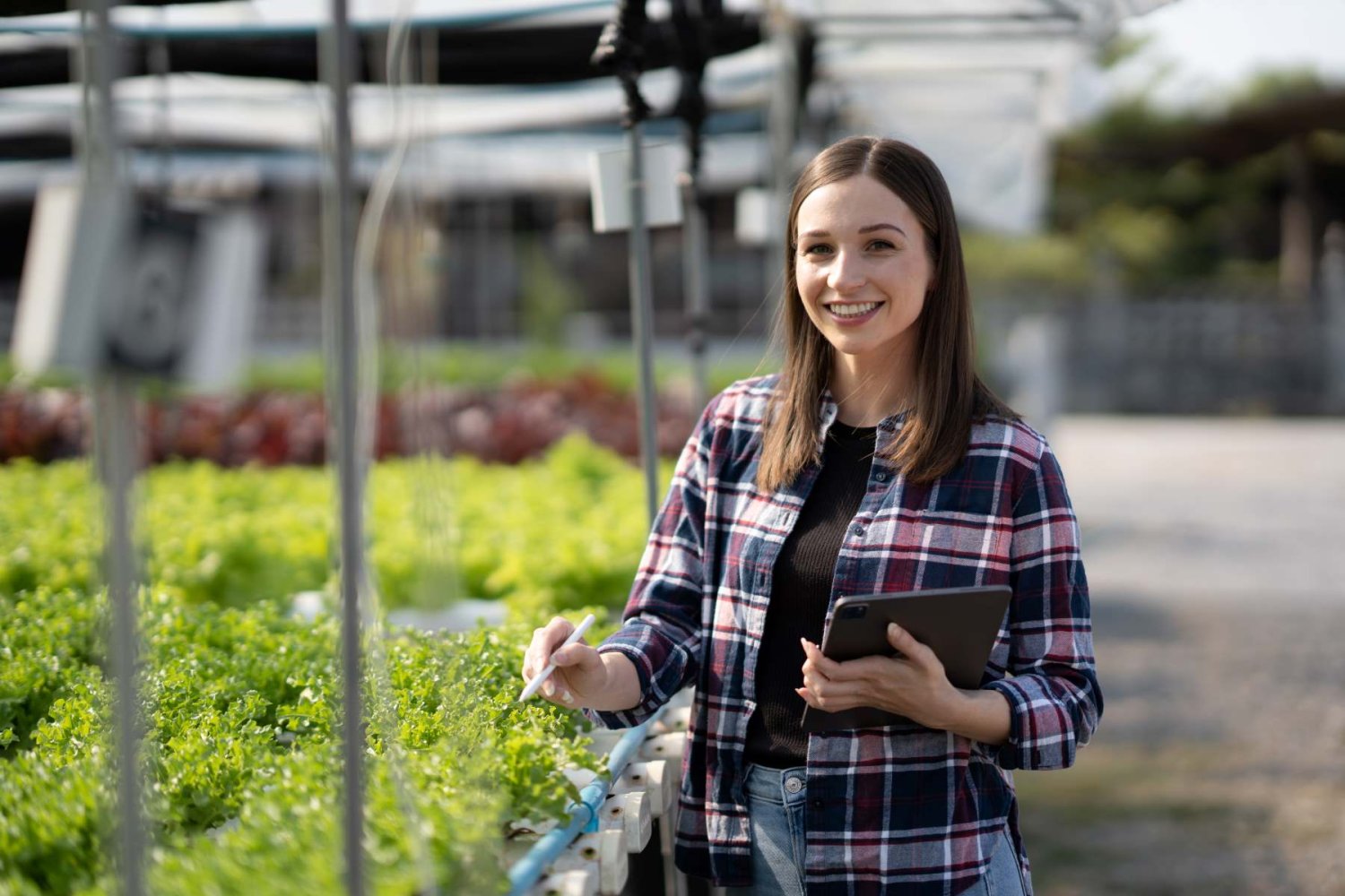 donde estudiar ingenieria agropecuaria