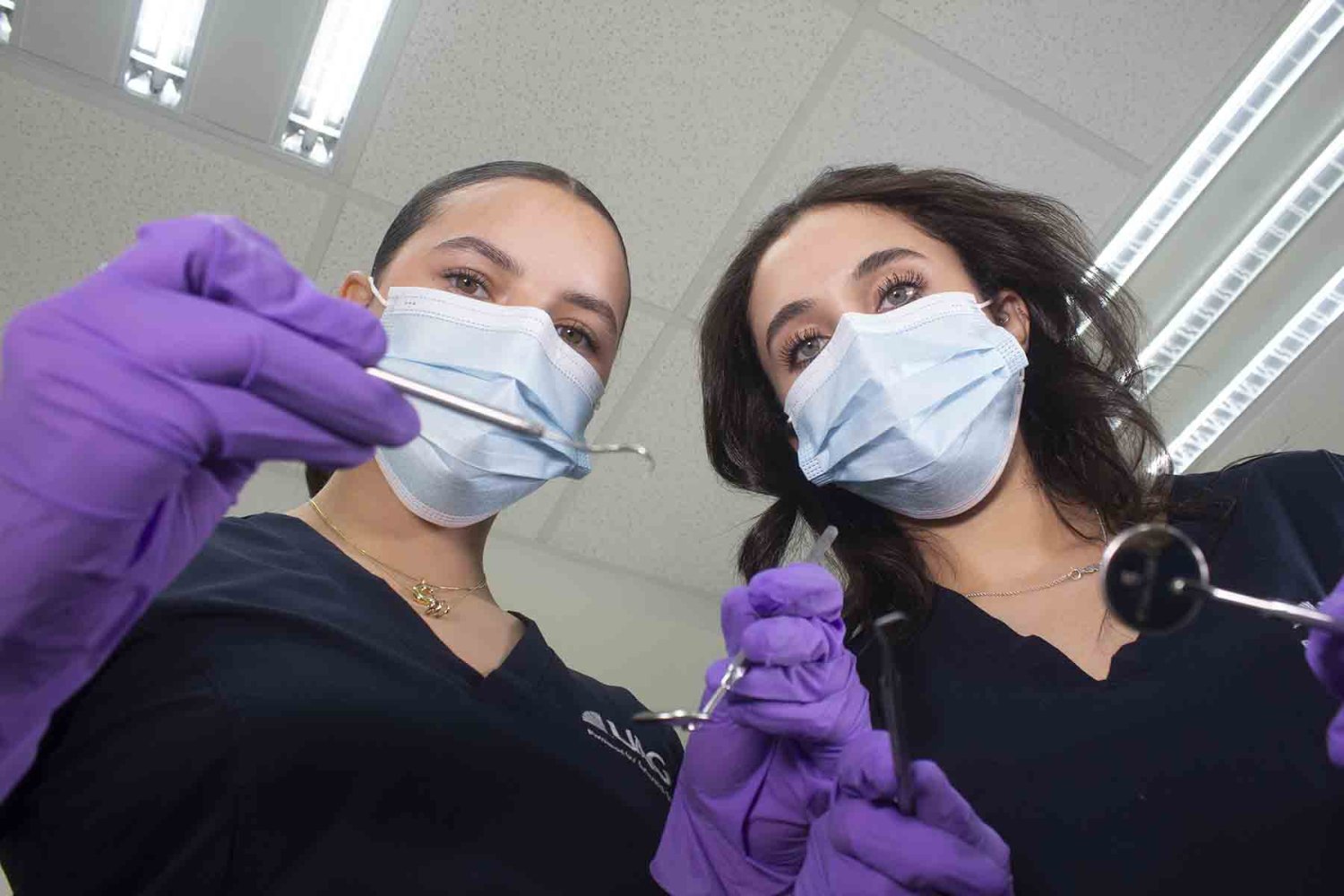 plan de estudios de odontologia