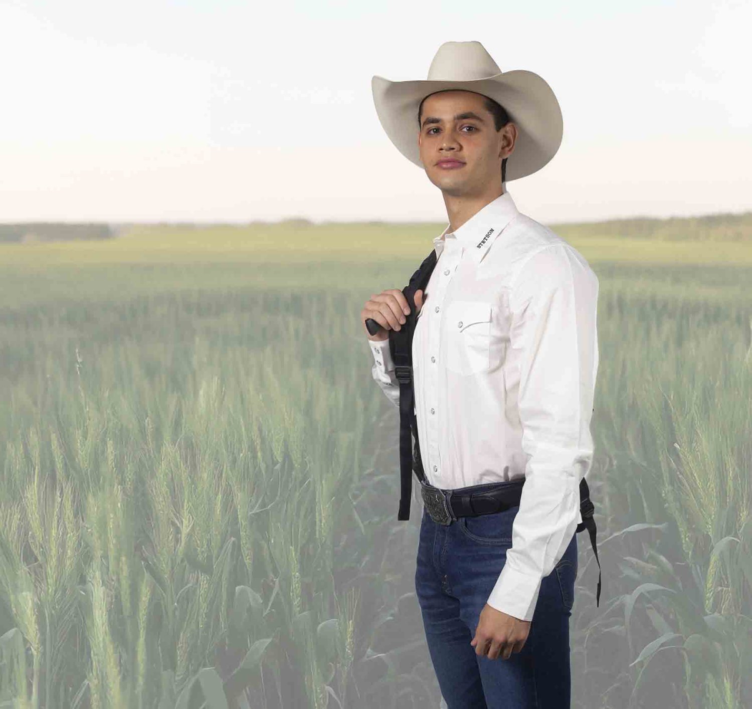 ingeniero agropecuario