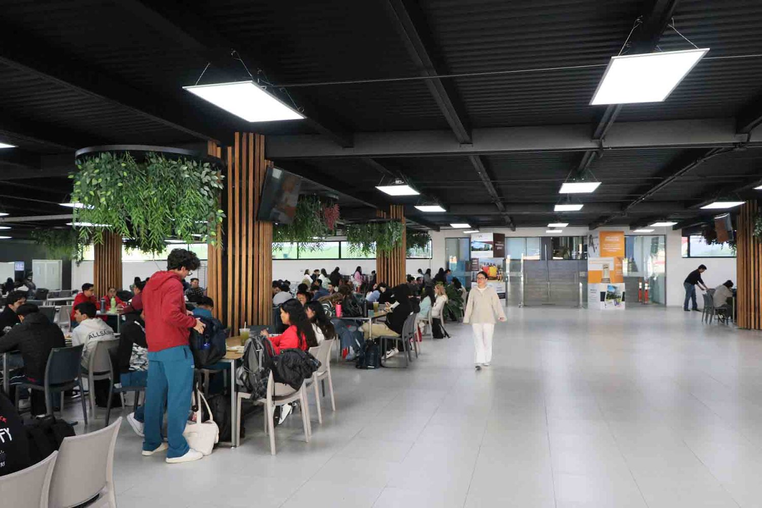 la renovacion se realiza con la finalidad de mejorar la experiencia de los usuarios