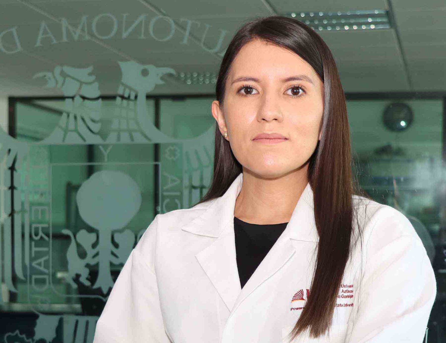 la dra karina sandoval trabaja en proyectos de electroquimica y quimica verde