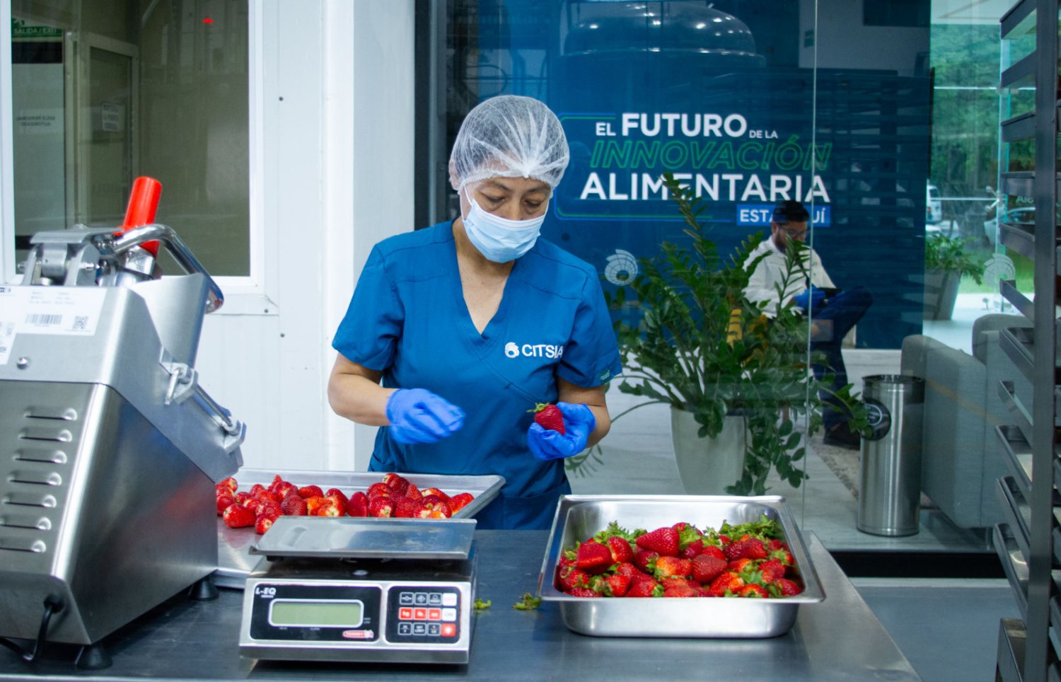 Portafolio tecnológico