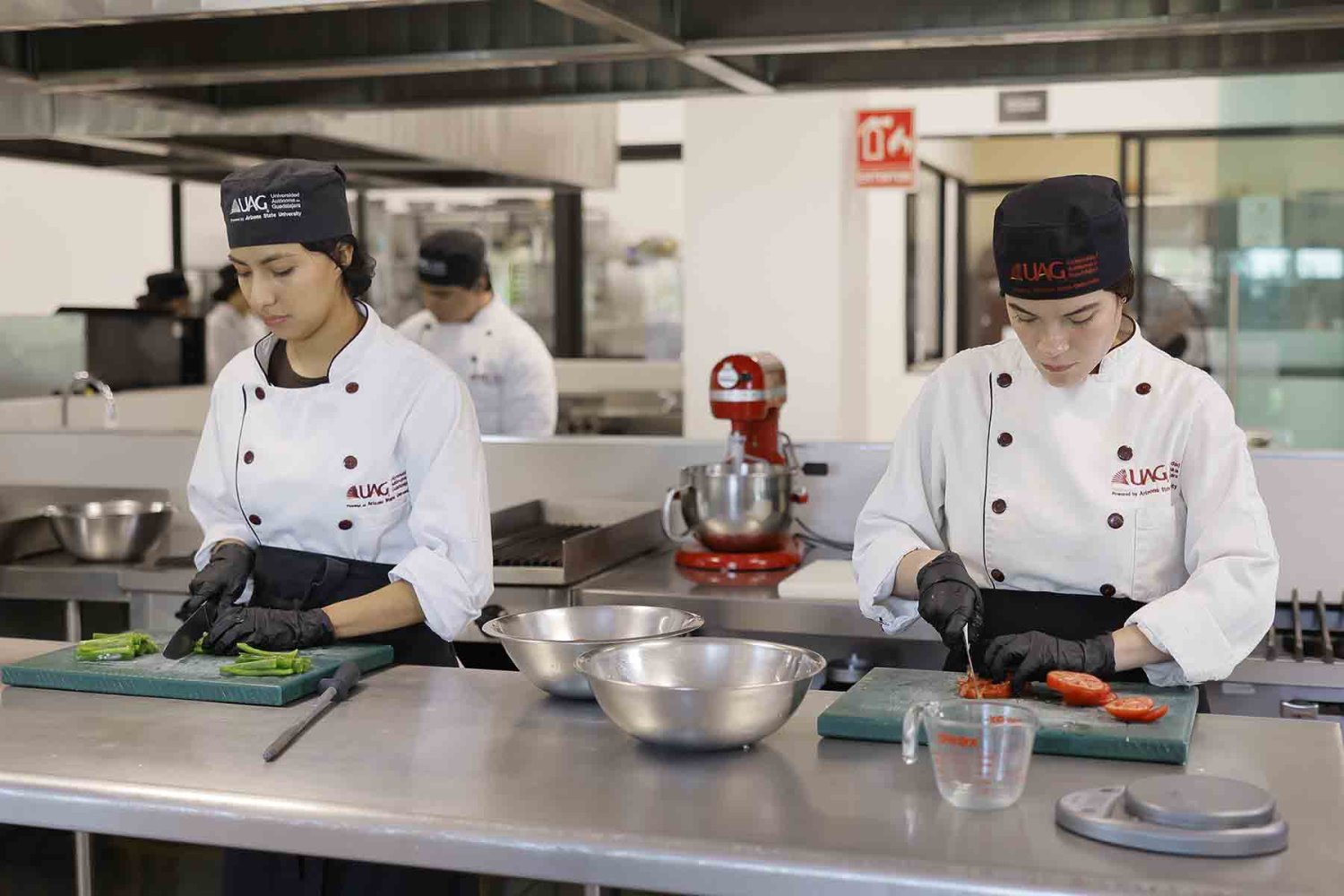 donde puede trabajar un chef