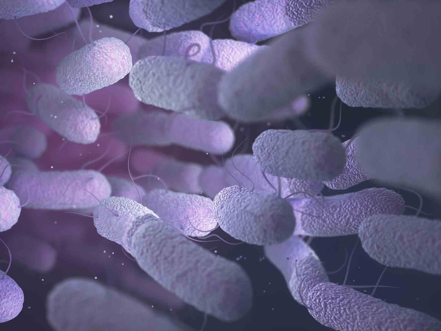 el intestino alberga un complejo ecosistema de microorganismos que puede verse afectado por distintos factores