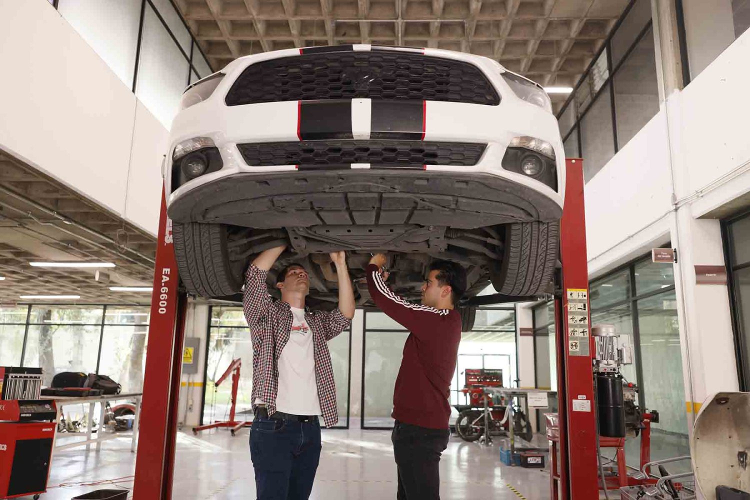 las profesionales de esta carrera son estrategicos en las empresas