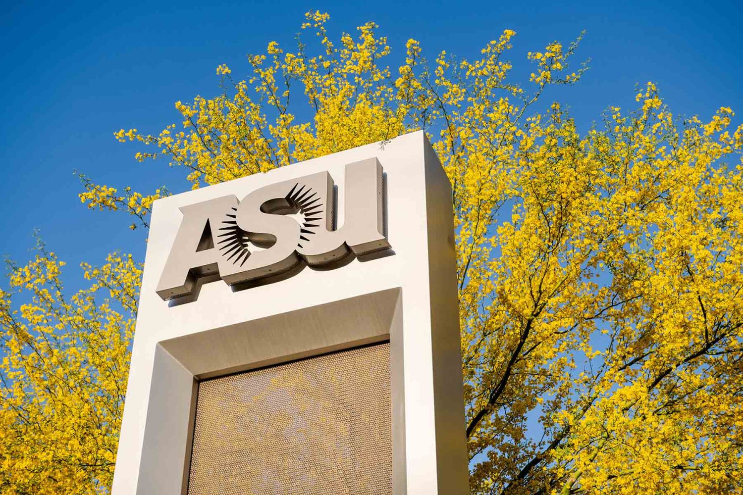gracias a su alianza con asu como estudiante potenciaras tu formacion internacional