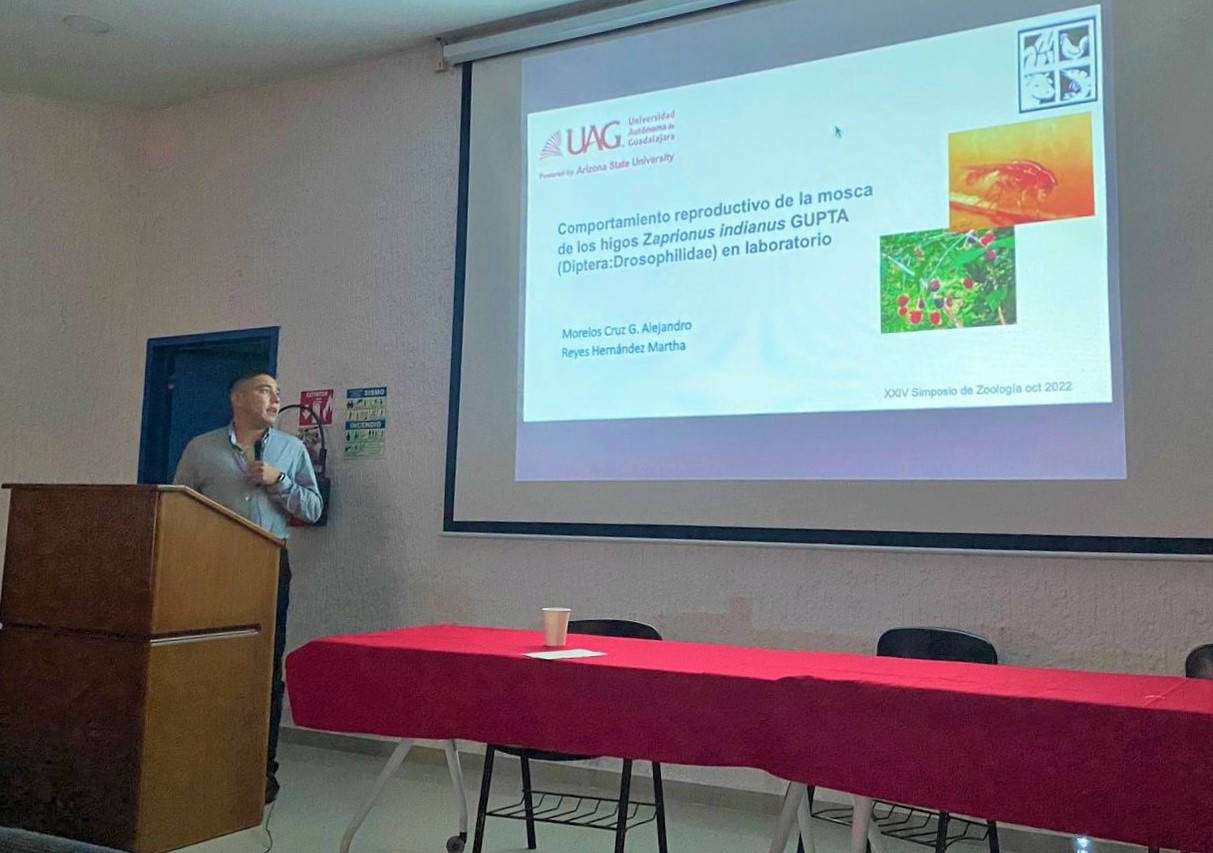 que es la educacion financiera