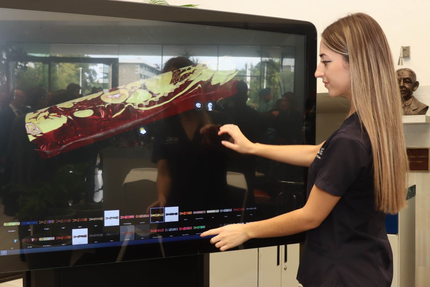 donde estudiar veterinaria