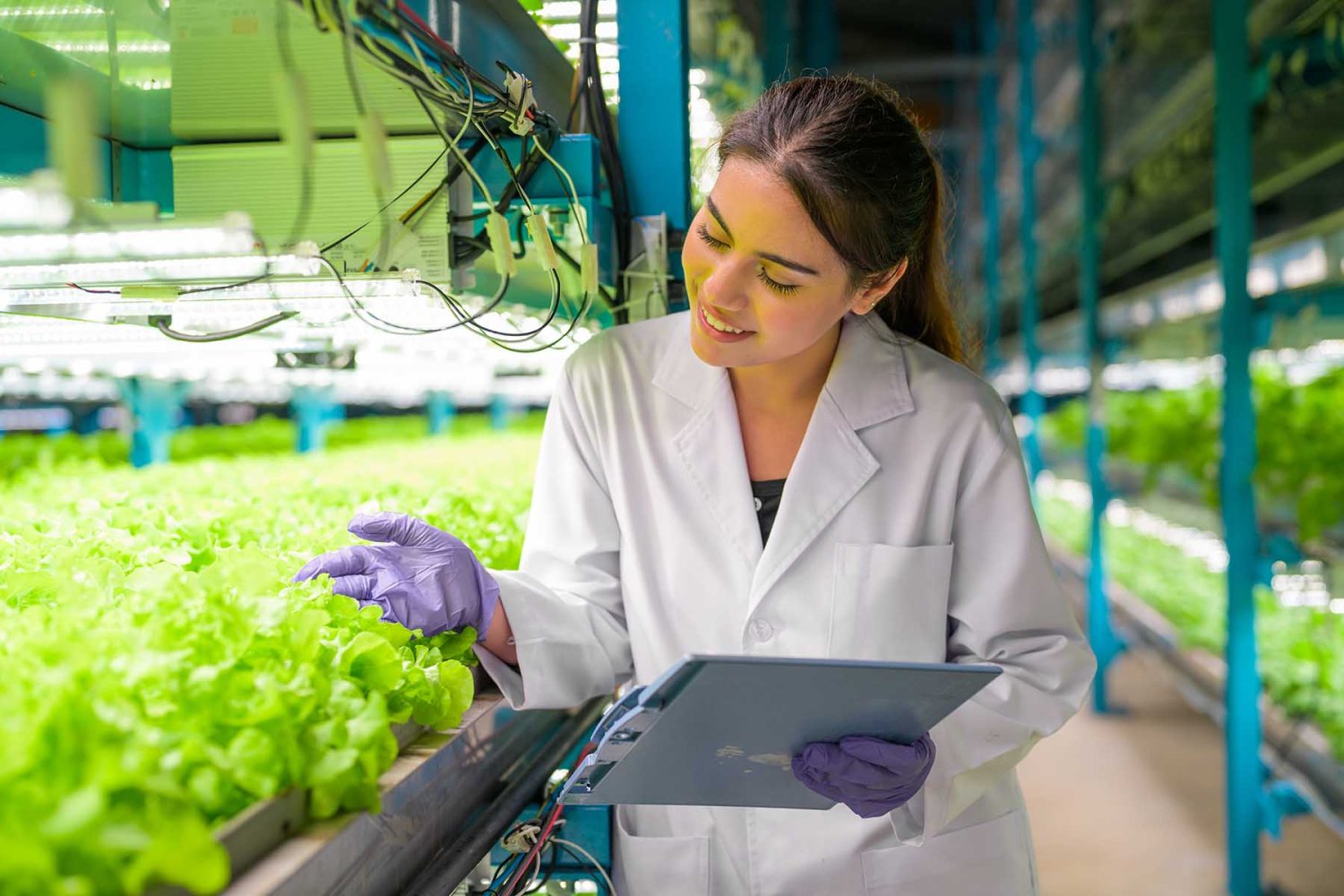5 razones para estudiar ingeniero empresarial agropecuario