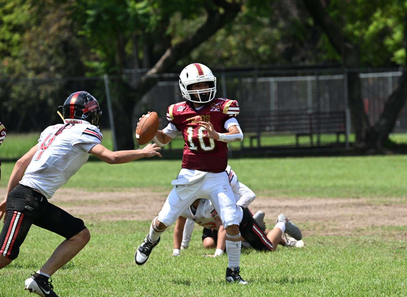 tecos buscara el campeonato en dos categorias de la liga infantil