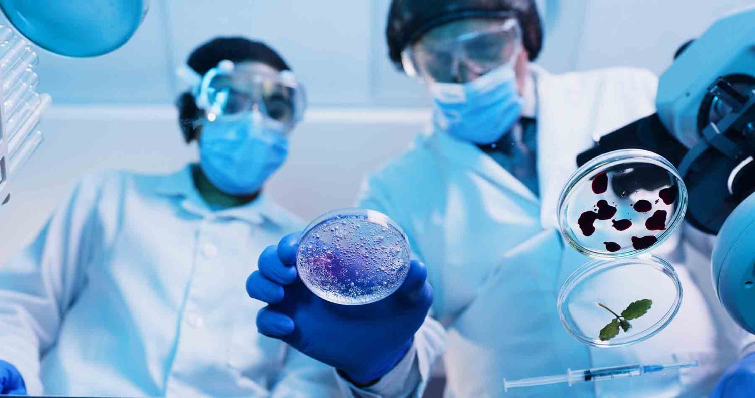 donde puede trabajar un egresado de biotecnologia