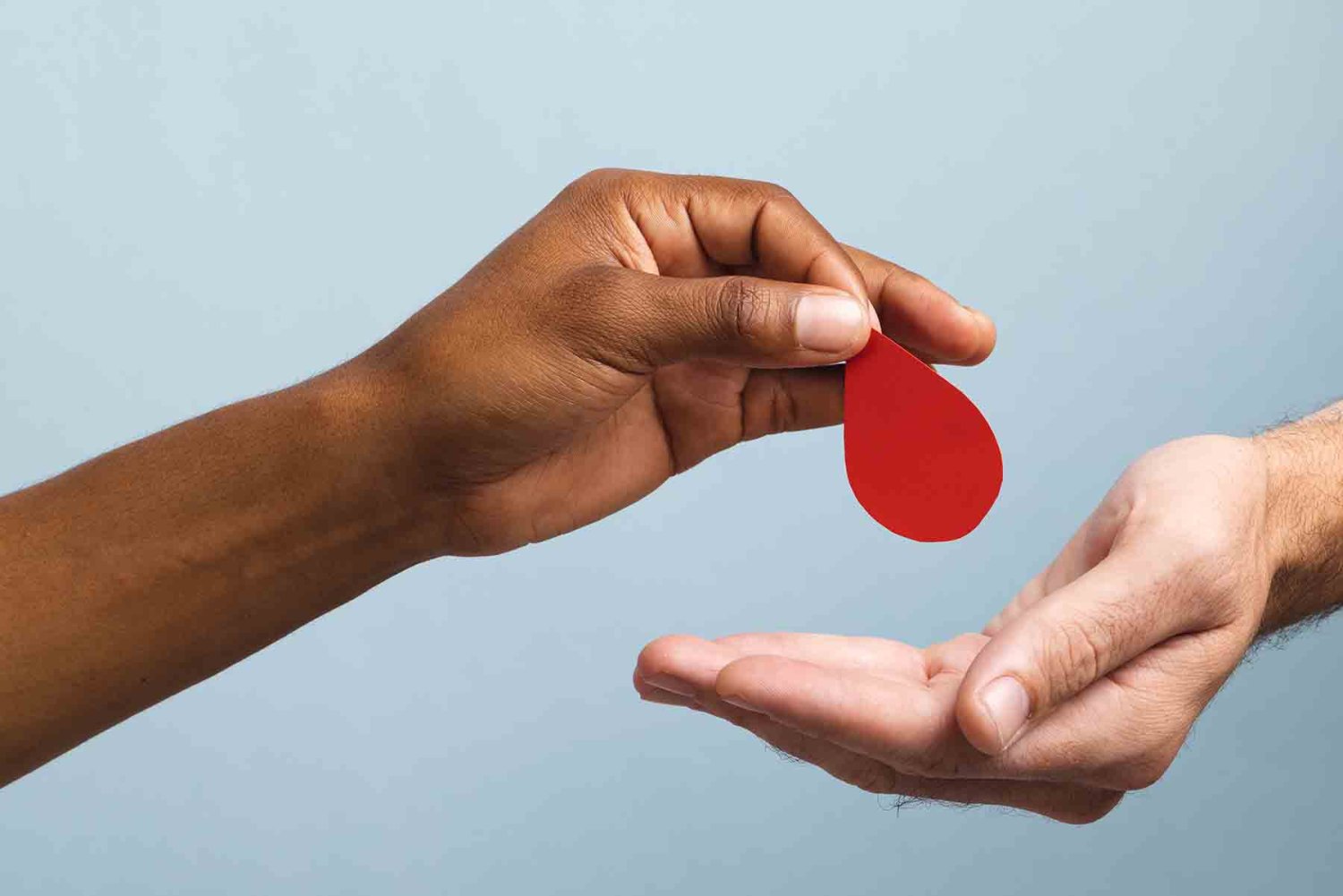 la compatibilidad genética es clave para que la donación de médula ósea sea exitosa y segura