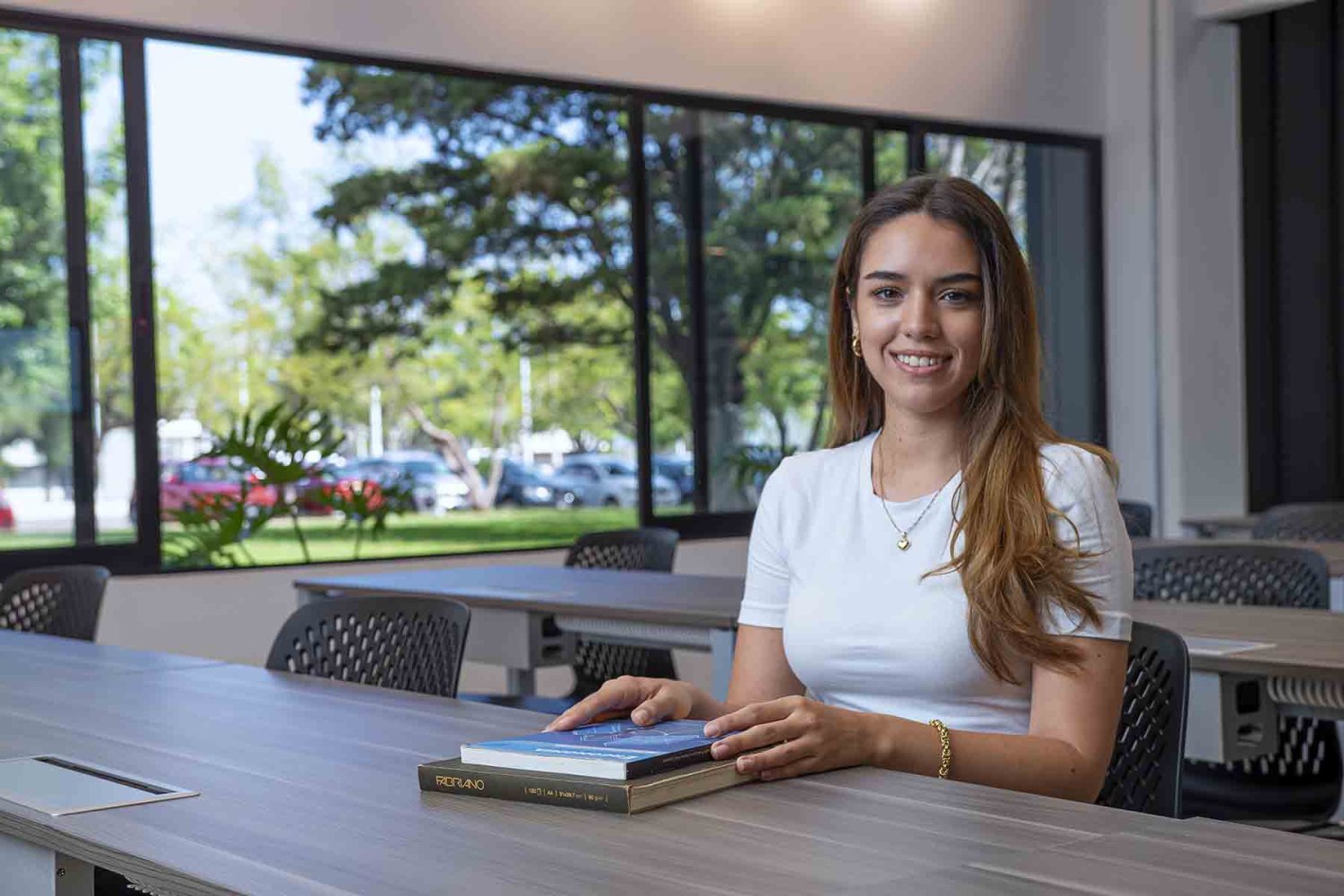 de que trata la maestría en gestión de proyectos