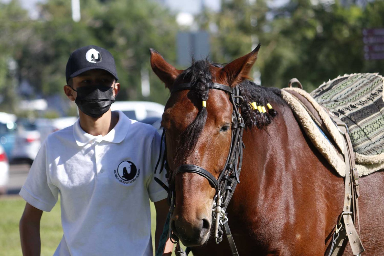 Bondades de la Equinoterapia para terapias y aprendizaje | UAG