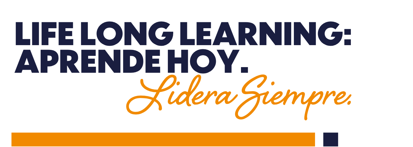 Lifelong Learning
