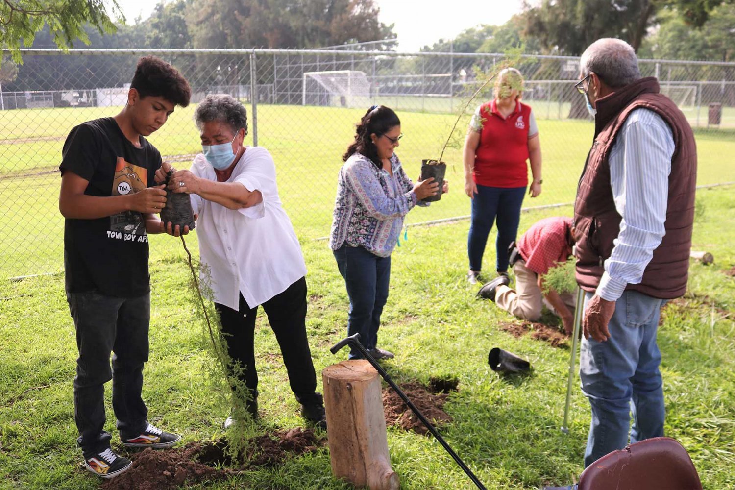 impulso posgrados odontologia uag