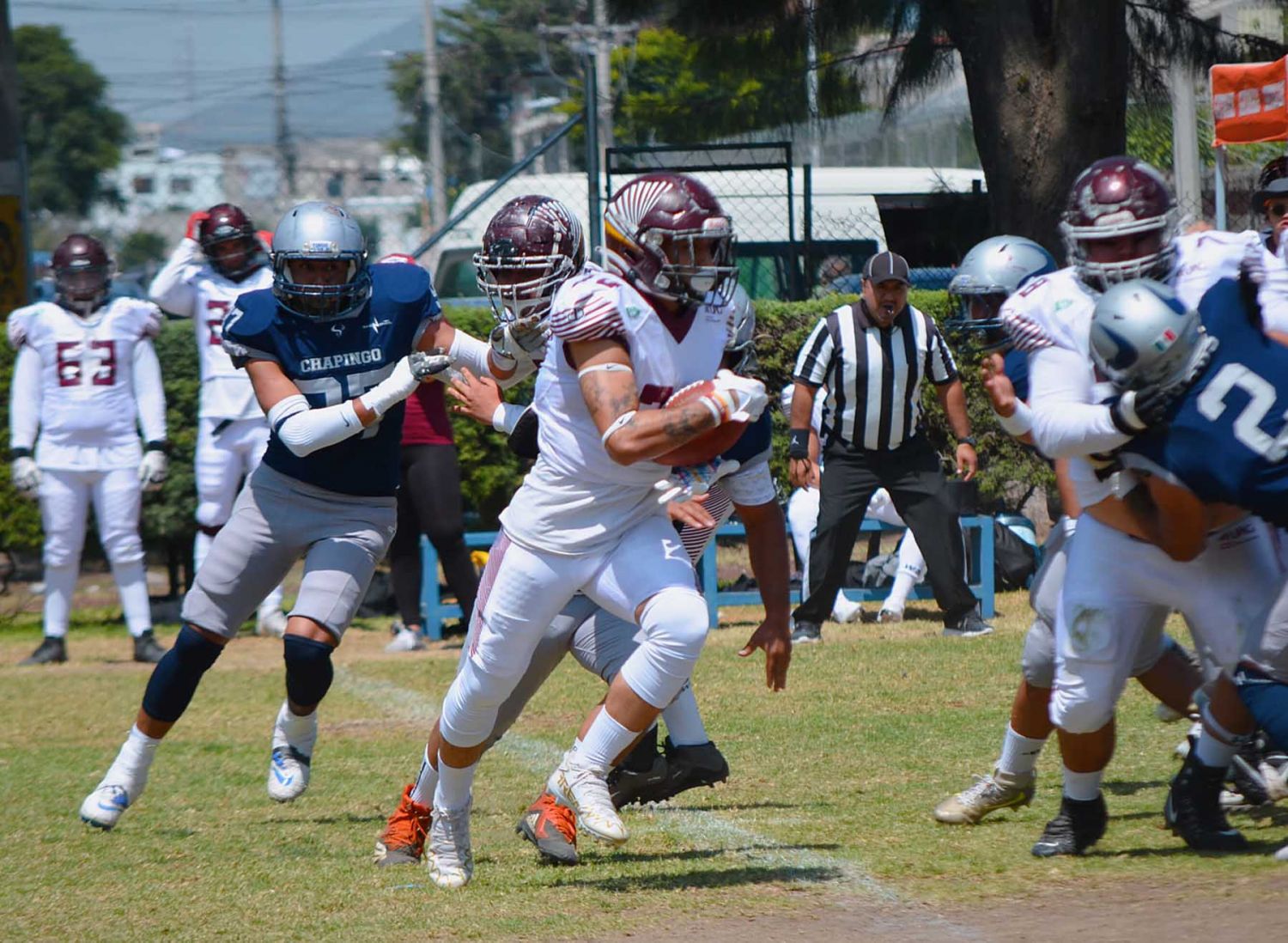 Tecos sigue volando alto en la Liga Mayor | UAG Media Hub