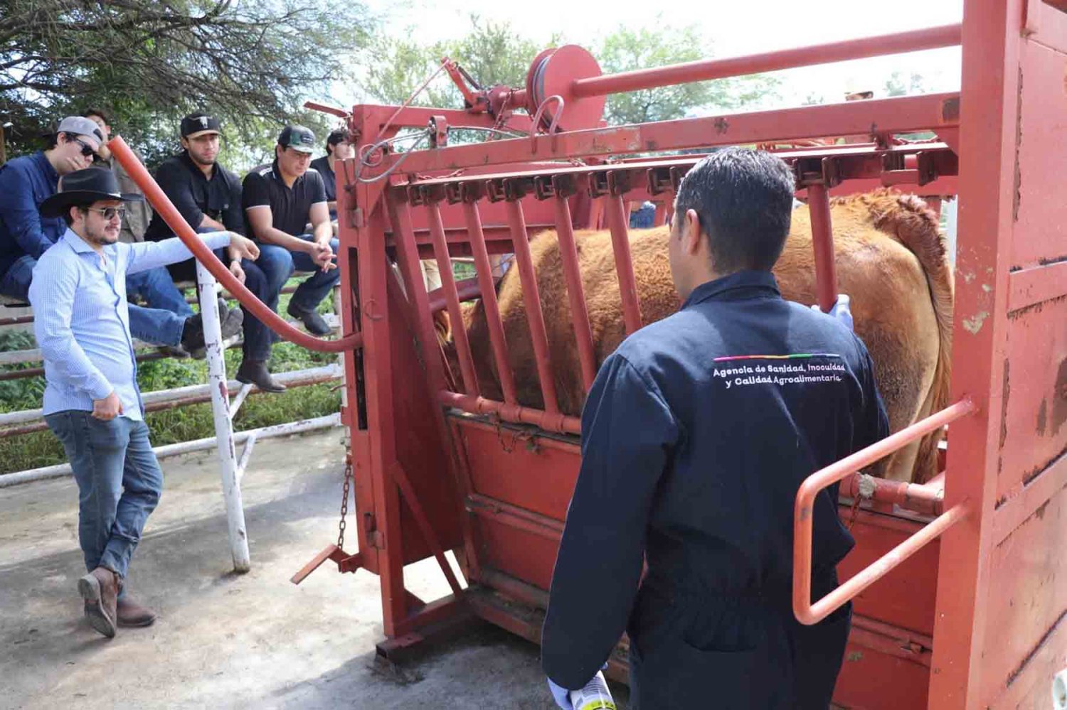 Estas actividades enriquecen la formación de los alumnos de Ing. Empresarial Agropecuario de la UAG.