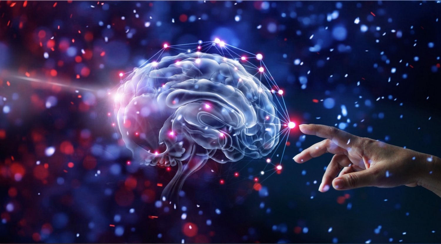Datos que no sabías del cerebro